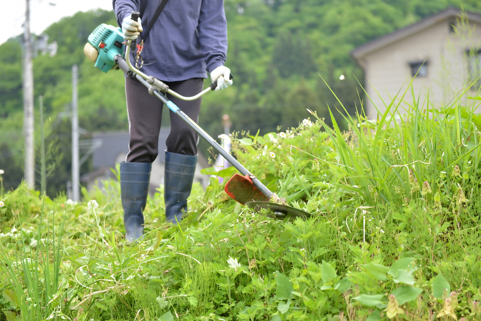 雑草を機械で刈っている様子