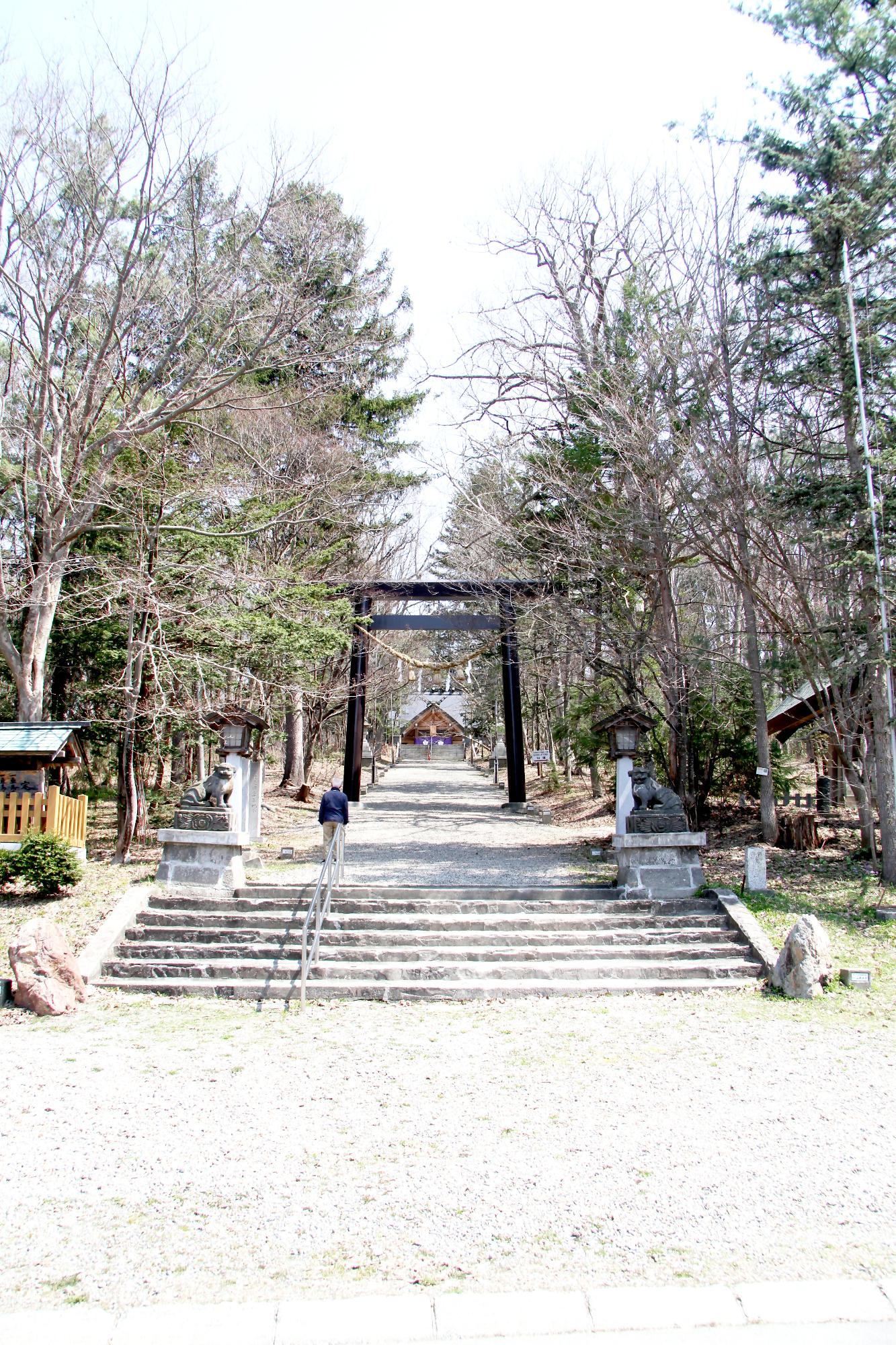 現在の士別神社。整備がされていて鳥居から本堂へ道が一直線になっている
