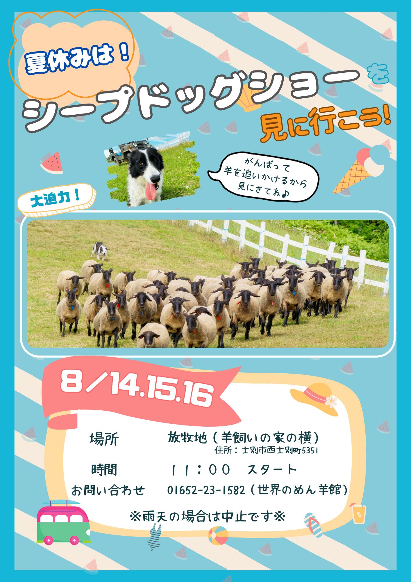 夏休みシープドッグショー