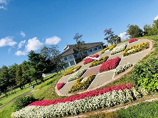 赤や白、黄色の花がチェック柄のように植えられている花時計の写真