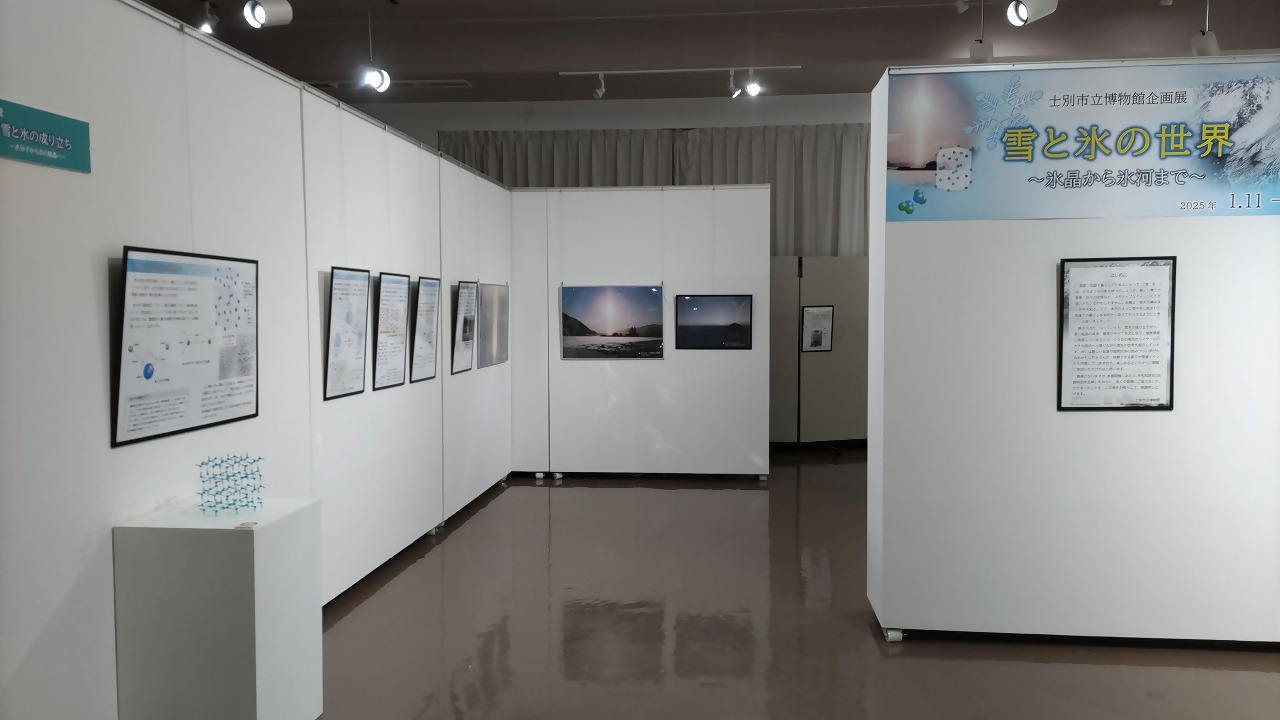 展示会場の様子