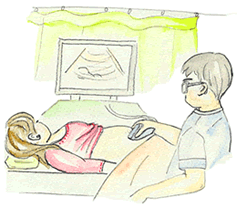 仰向けに寝ている女性の腹部にエコーをあてモニターを見ながら確認している男性医師のイラスト