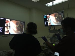 薄暗い部屋で体の中に入れたカメラの映像をモニターで確認している医師の写真