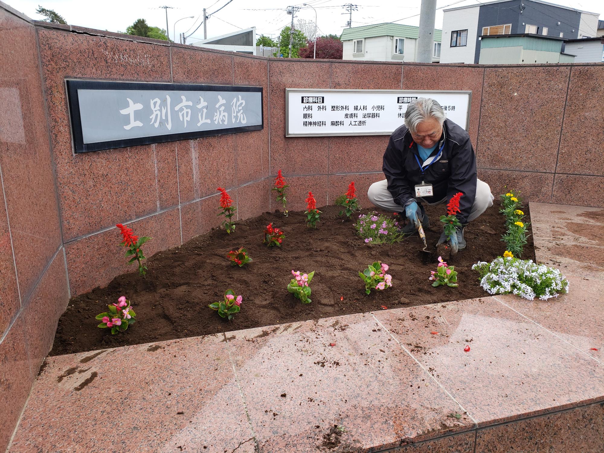 職員が病院正面の花壇に花を植えている写真