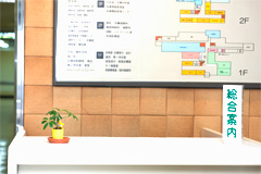 小さな観葉植物と総合案内の立て札が立てられた総合案内所の机の写真