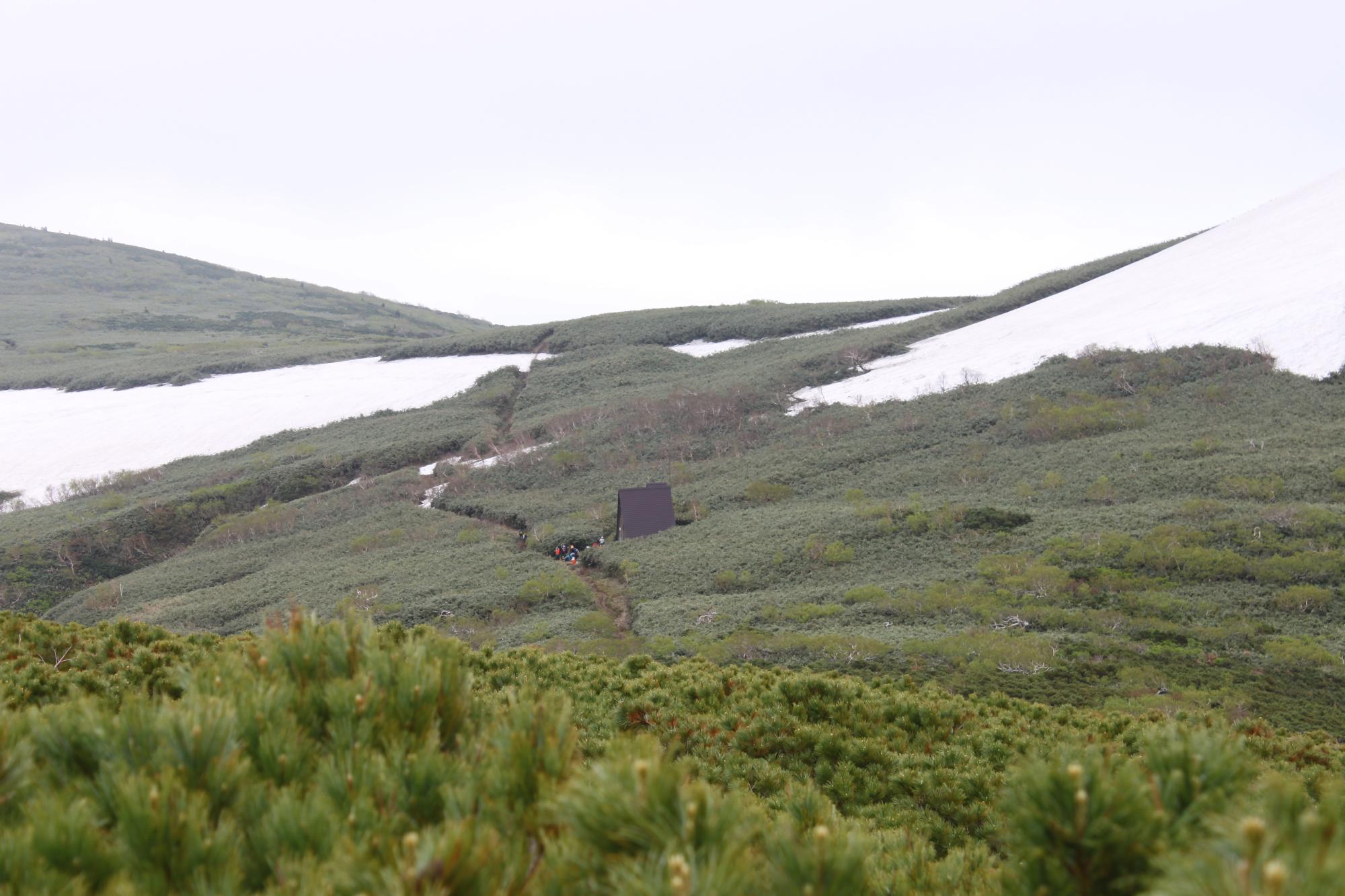天塩岳登山中