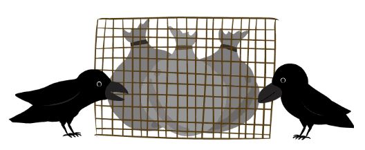 カラスが柵に入ったゴミ袋を狙っているごみ置き場のイラスト