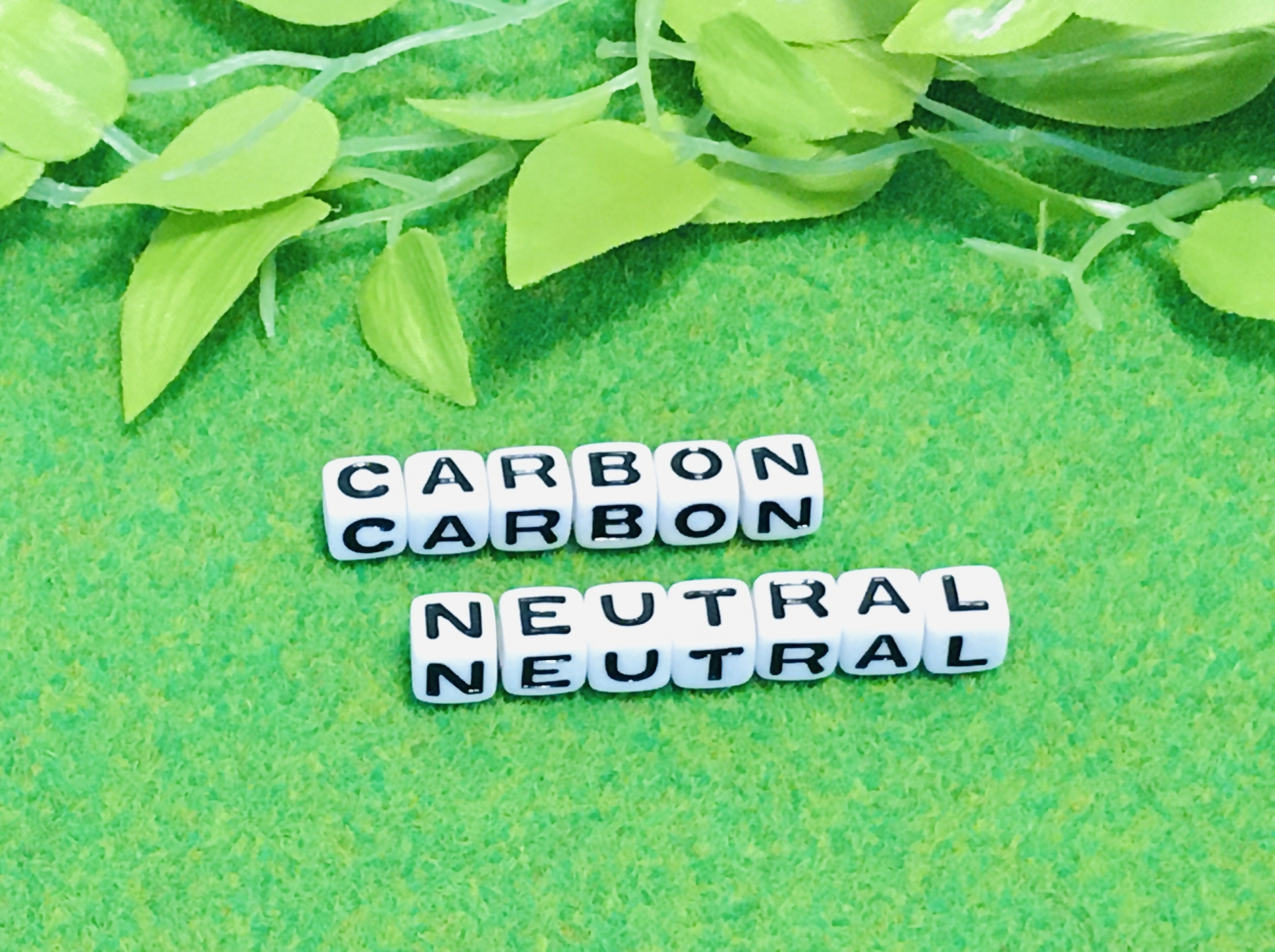 CARBON NUTRALという文字が書かれたサイコロが緑のじゅうたんの上に並べてある。