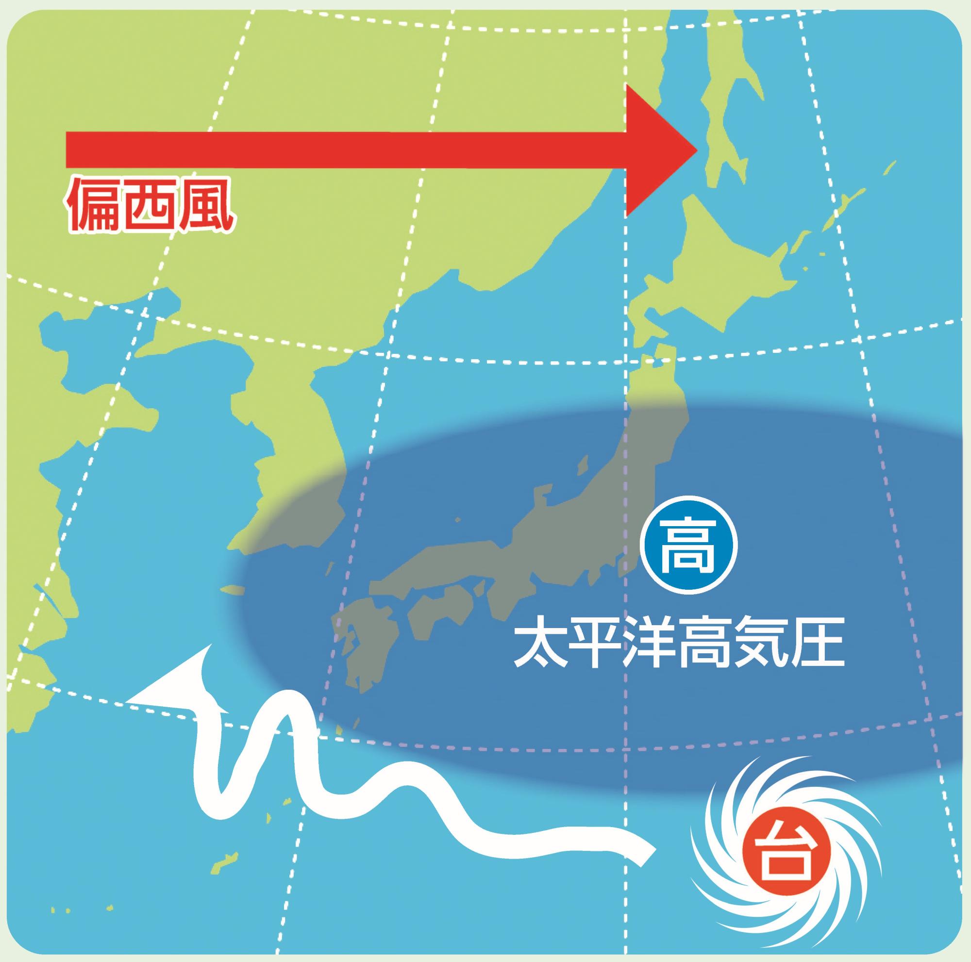 夏の台風の特徴を示した天気図。日本の広い範囲に太平洋高気圧があり、偏西風は北側を通り抜けるため、台風は高気圧の下を蛇行するように進んでいる。