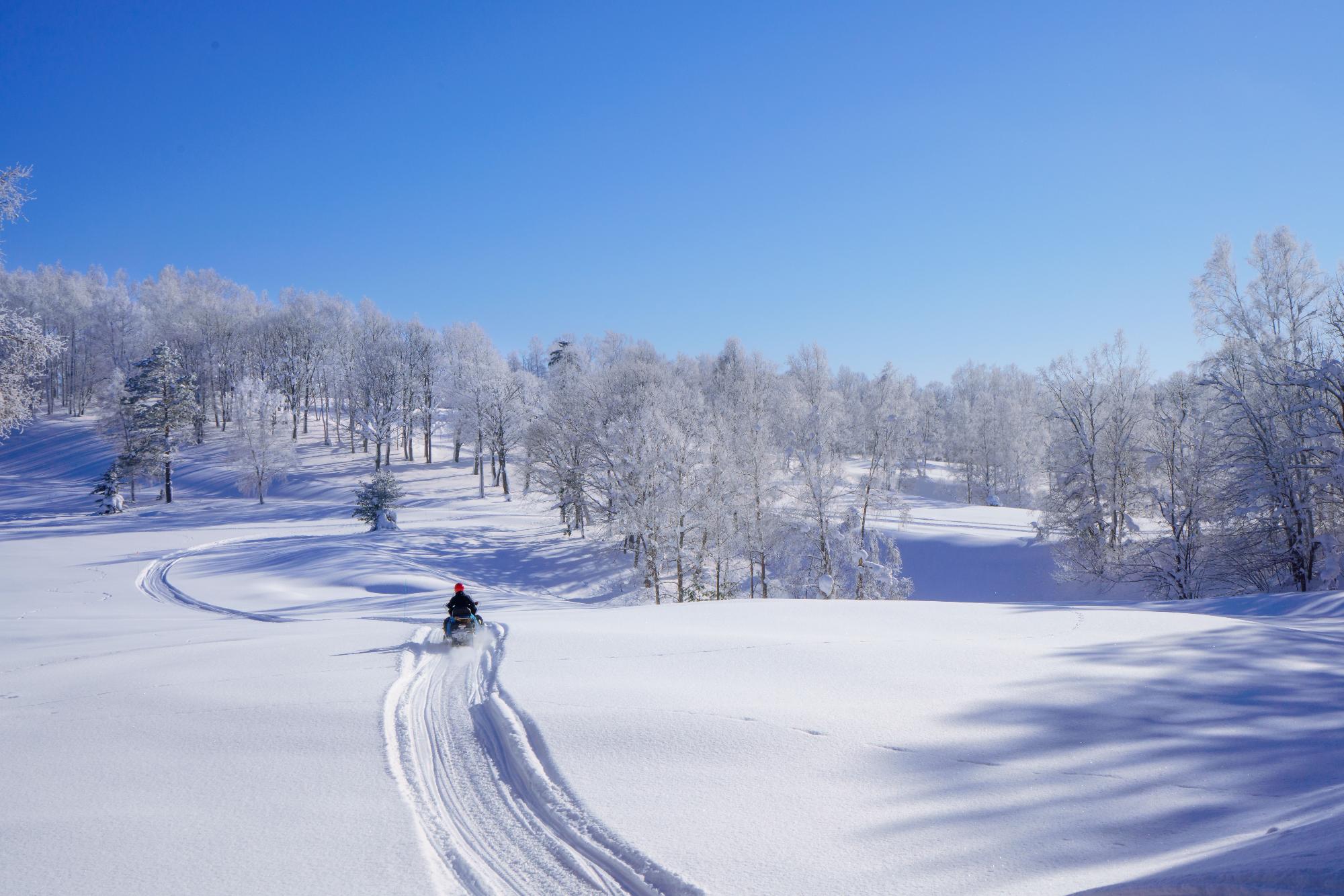 雪原でスノーモビルを乗っている写真