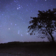 満天の星空の画像