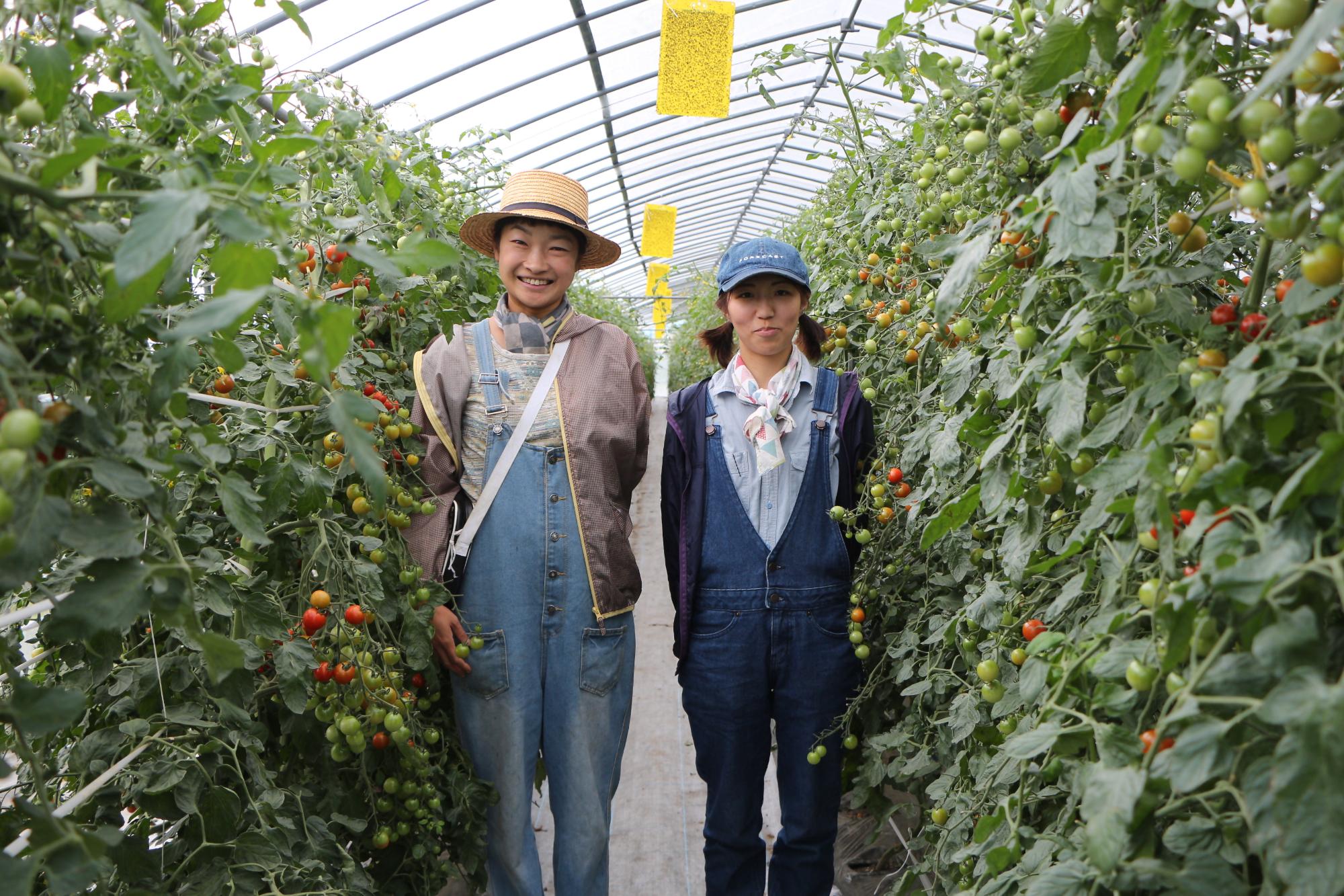 大川さんと藪さんがハウスで栽培しているトマトと一緒に写真をとっている画像