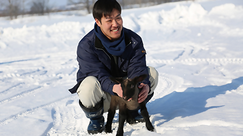 立つ子羊を支える生産者の画像