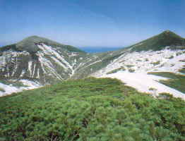 中央奥に水平線が見え、所々雪が積もっている前天塩岳（左）と天塩岳（右）の2つの山の写真