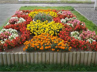 黄色、オレンジ、赤、白、ピンクの花で模様が作られている正方形の花壇の写真