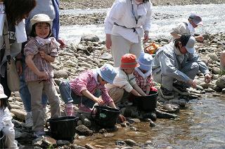 バケツの中のやまべをつかみ川に放流する子供たちの写真