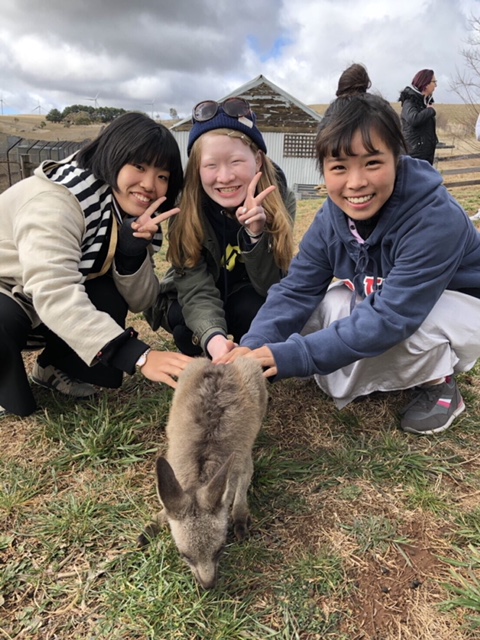 3人の女性がピースをしながら茶色の動物を触っている写真