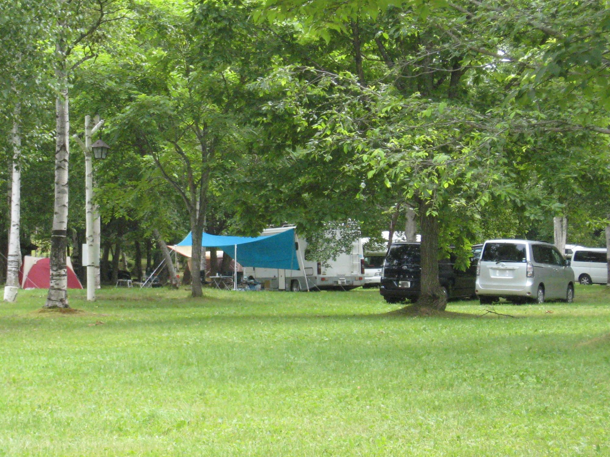 緑の芝生に車が停まりテントをはっている芝生サイトのキャンプ場の写真
