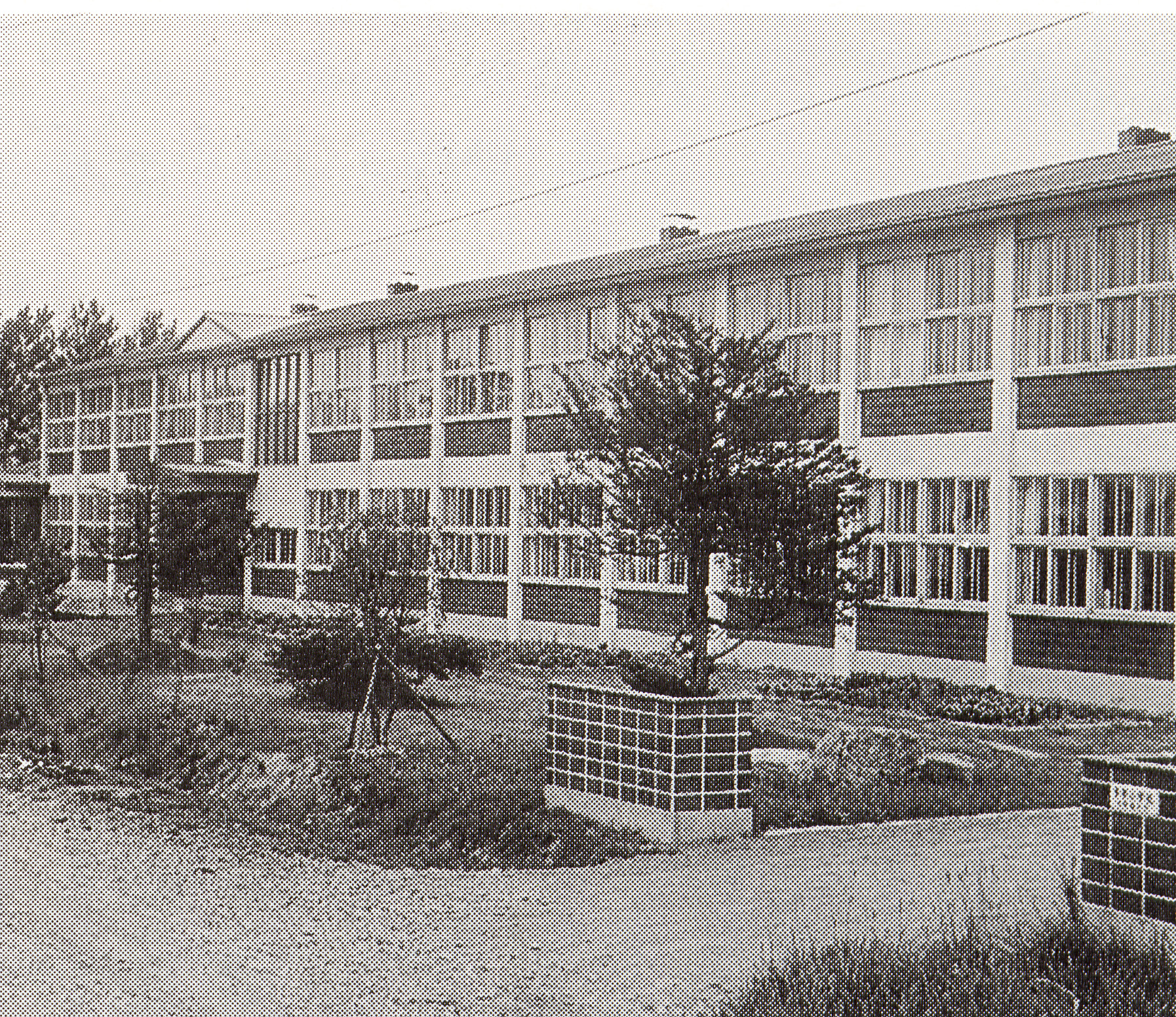 等間隔に木が植えられた手前に門柱、奥に建つ2階建ての昭和45年頃の多寄小学校の校舎の白黒写真