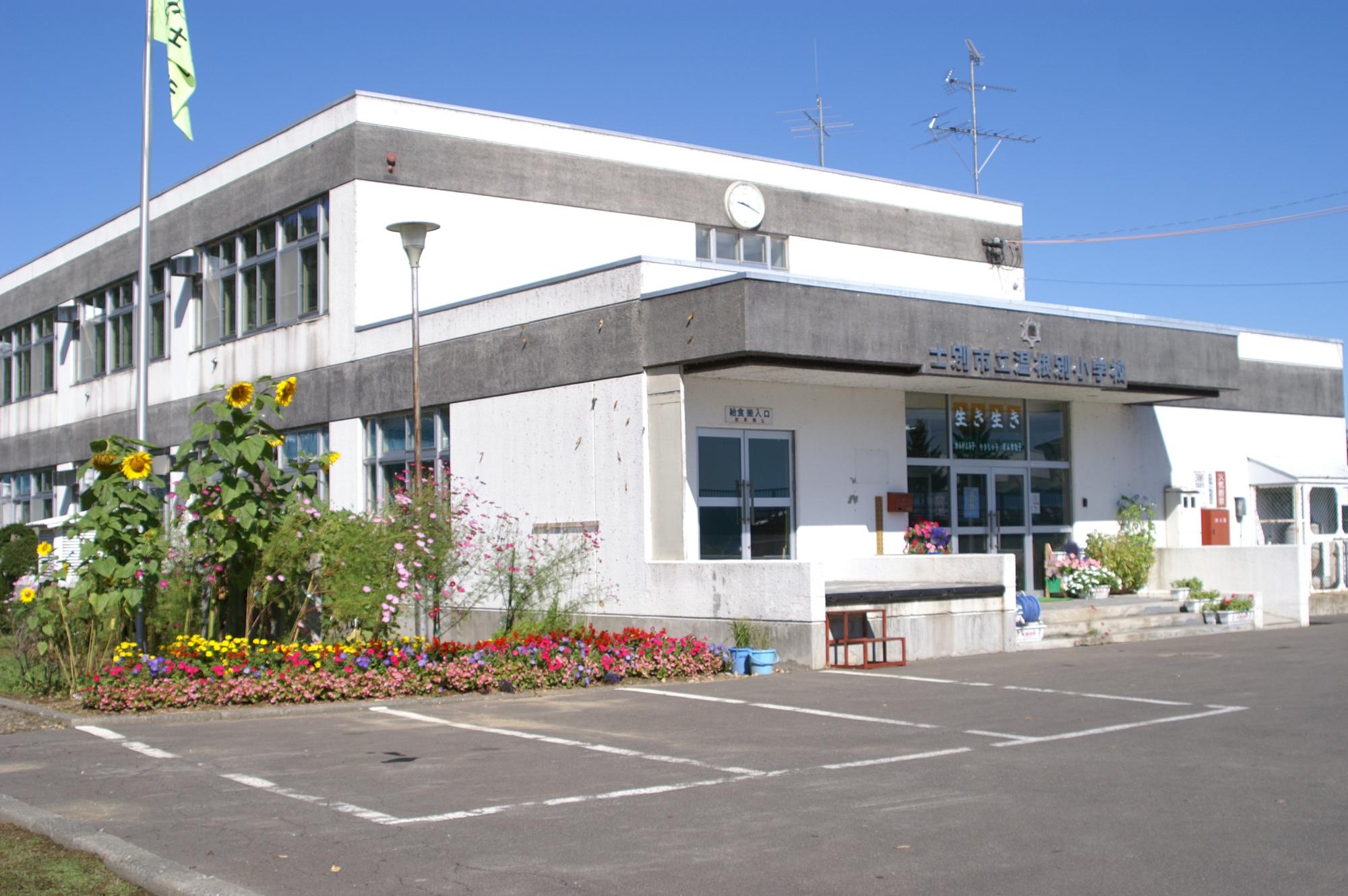 左側に赤色やピンク色の小さな花や校舎の2階まで届きそうな高さのヒマワリの花が植えられた白壁の温根別小学校の校舎の写真