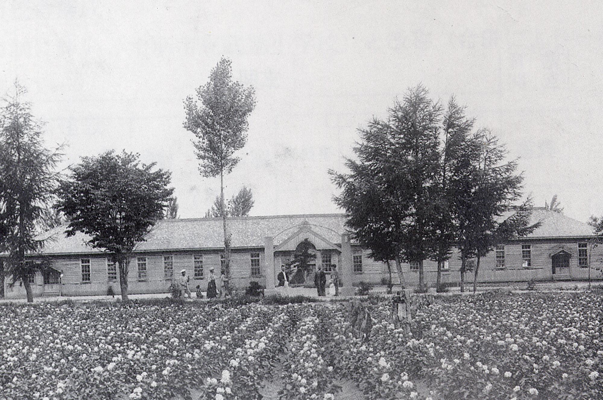 手前に畑、木が立ち並び中央の門柱の奥に建つ1階建ての大正時代の武徳小学校校舎