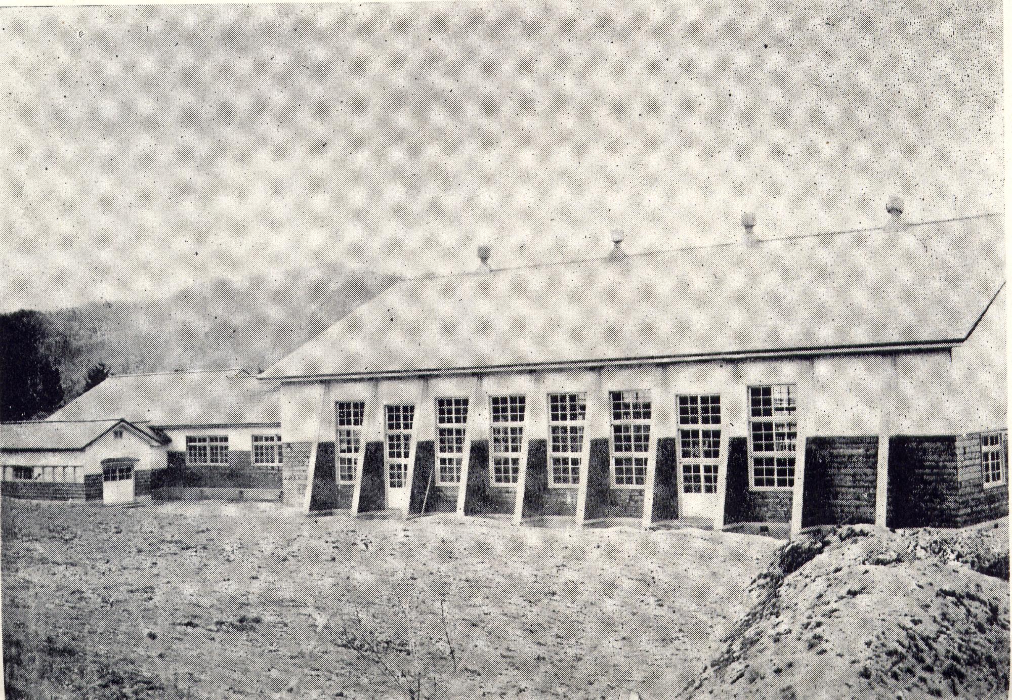 左側に校舎、右側に体育館が新しく造られた昭和30年頃の旧兼内小学校校舎の白黒写真