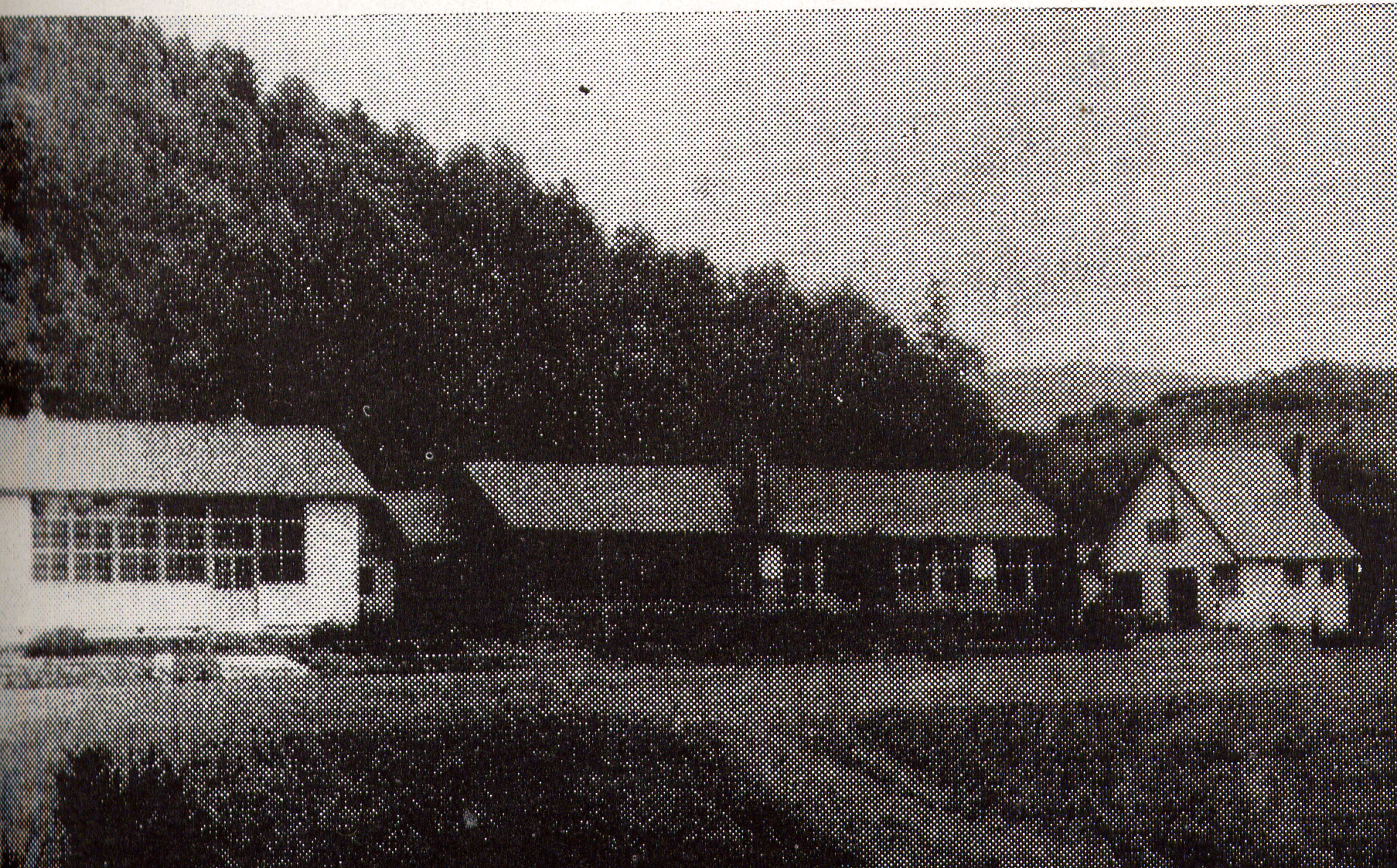 木が生い茂った小高い山の麓に造られた3棟の旧大英小学校校舎の白黒写真