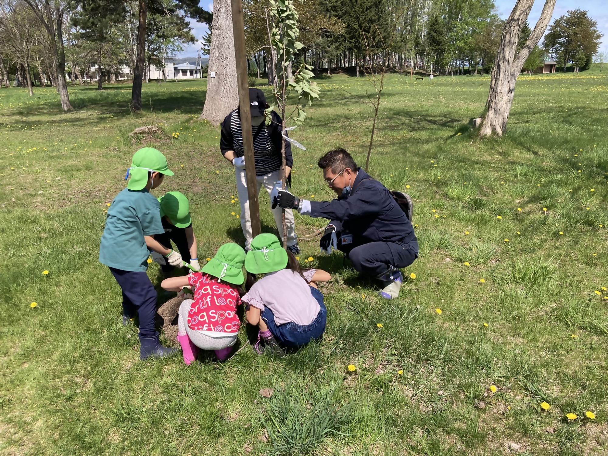 植樹をしている園児4名と市職員1名の写真