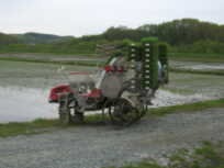 農道に苗が積まれている小型の田植え機が置いてある写真