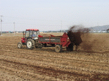 広大な畑に赤色の車両で堆肥を撒いている写真