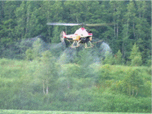 ヘリコプターが白色の粉を散布している様子の写真