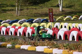 コース横に赤や白色のタイヤが沢山設置され、「カーブゆっくり」と書かれた看板の横を緑色のゴーカートが走っている写真