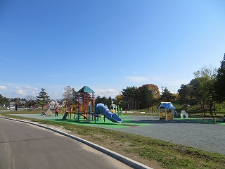 舗装された道の右側に滑り台が付いた複合遊具が見える公園の写真
