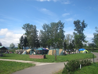 緑色の芝生が生えている場所に複数のテントが張られているキャンプ場の写真