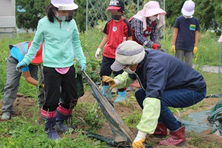 児童の農業学習をサポートする地域住民の写真