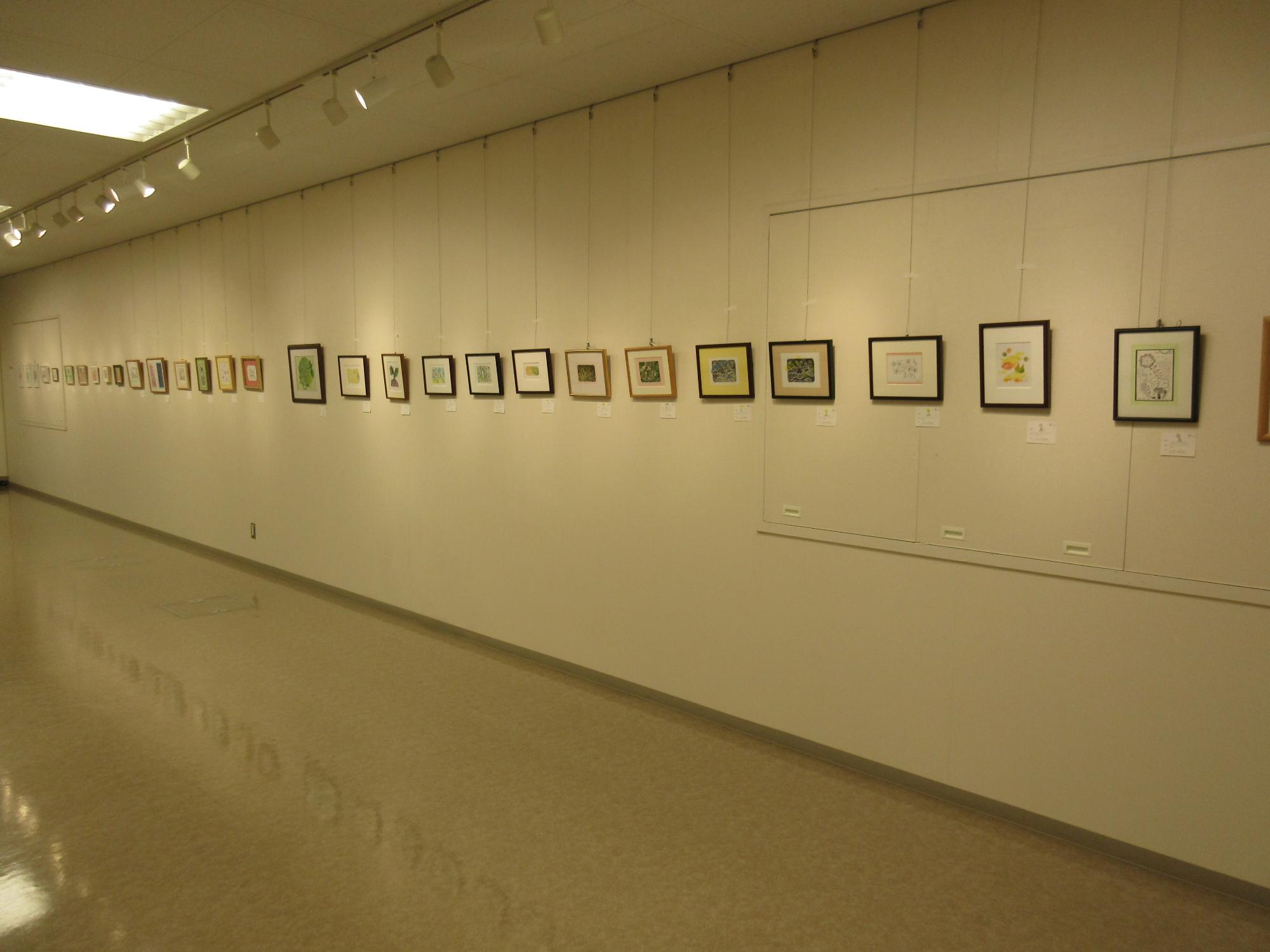 展示の様子
