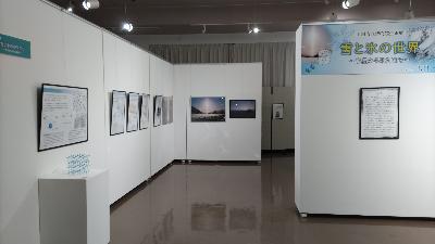 企画展「雪と氷の世界」の会場の様子