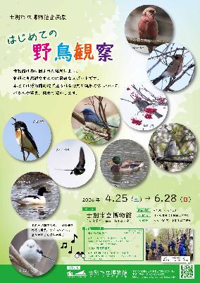 野鳥の企画展のポスター