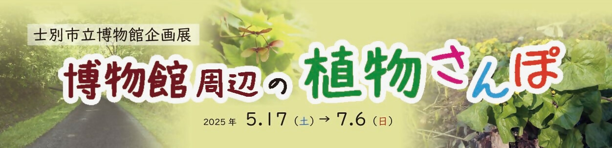 士別市立博物館企画展「博物館周辺の植物さんぽ」