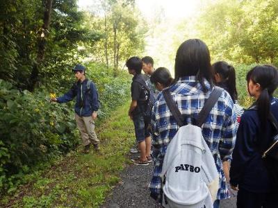 植物を観察している様子