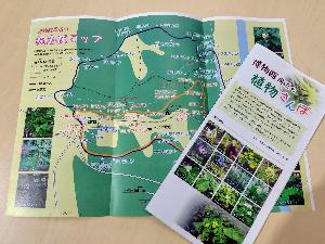 樹名板マップ