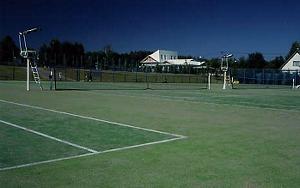 人工芝が敷き詰められたふどうテニスコートの写真