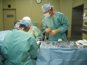 台の上に沢山の手術で使う道具が並べられ、2名の医師が座って手術を行い、1人の男性がその手術の様子を見ている手術中の様子の写真