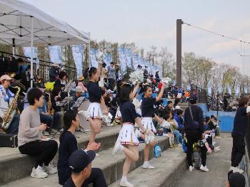 観客席でチアリーダーが応援している写真