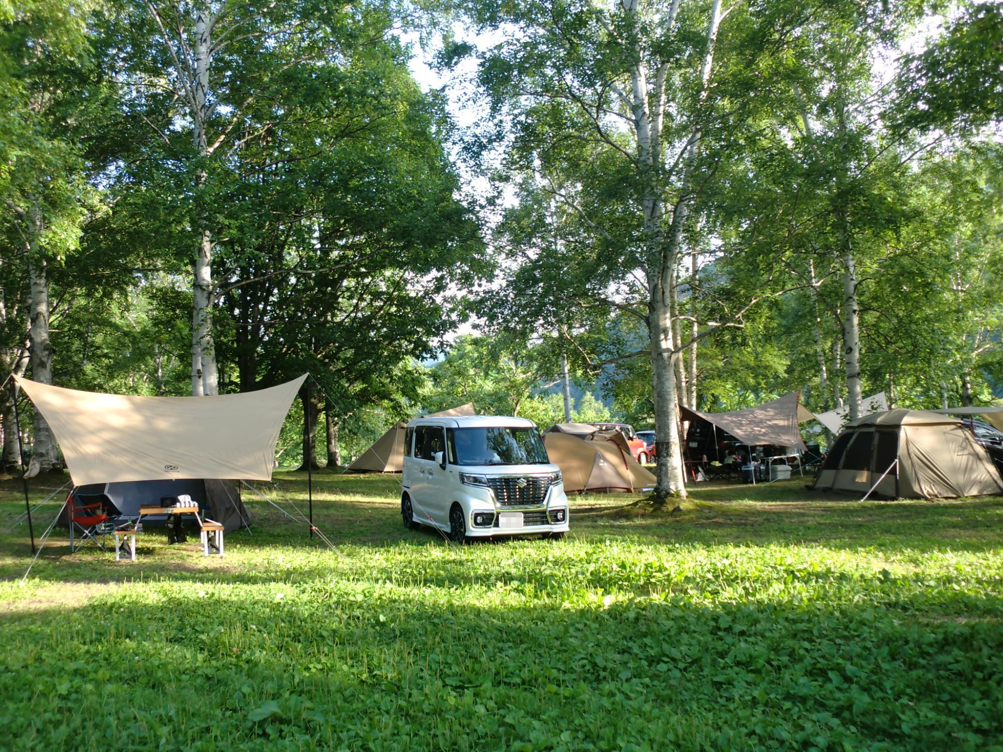岩尾内湖白樺キャンプ場のフリーサイト写真