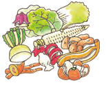 野菜や果物の皮や芯などの農産物のイラスト