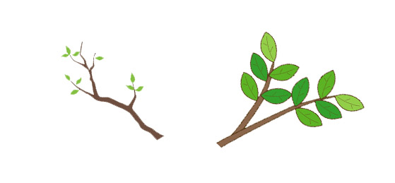 （左）小さな葉のイラスト、（右）大きな葉がついている剪定枝のイラスト