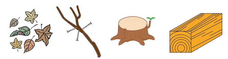 （左から）落ち葉のイラスト、釘が刺さっている枝のイラスト、木の株のイラスト、角材など剪定枝として収集できないもののイラスト