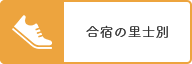 合宿の里士別